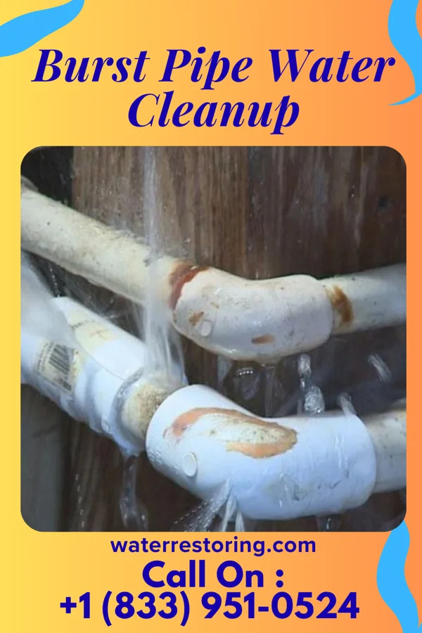 Burst Pipe Water Cleanup in Plainfield Village, CT