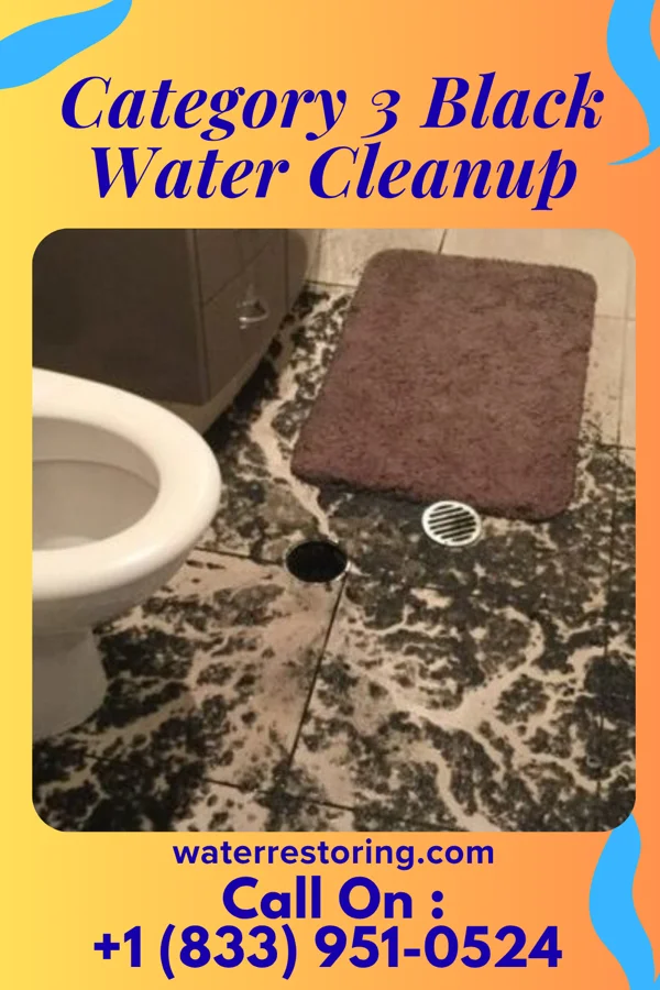 Category 3 Black Water Cleanup in Plainfield Village, CT