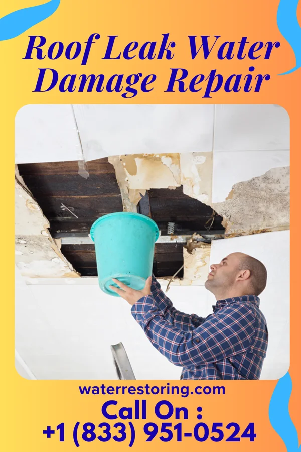 Roof Leak Water Damage Repair in Plainfield Village, CT
