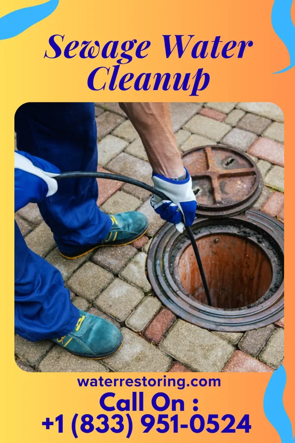 Sewage Water Cleanup in Plainfield Village, CT