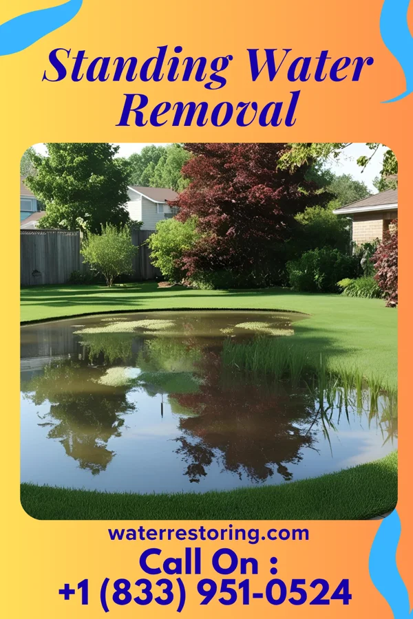 Standing Water Removal in Plainfield Village, CT